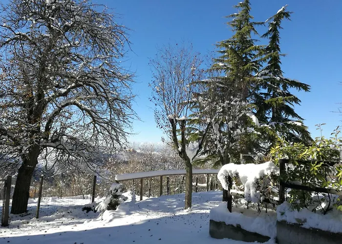 Le rose di Mapi